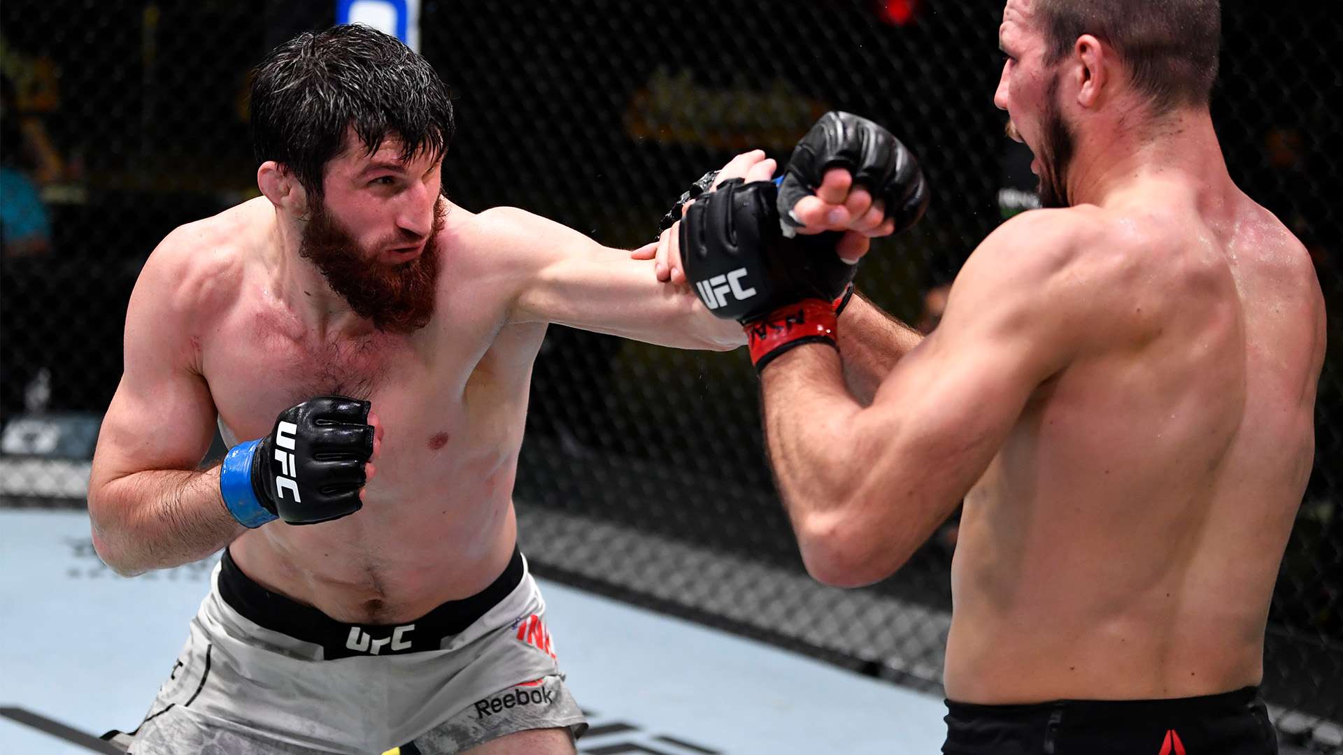 重要因素 重要因素