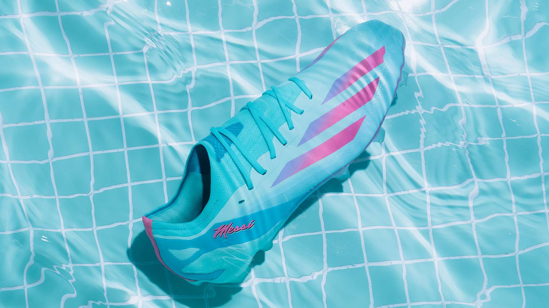 纳塞尔的双 纳塞尔的双